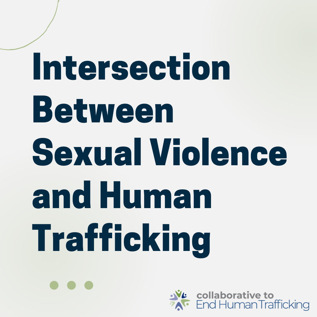 Sexual Violence and Human Trafficking - Collaborative to End Human  Trafficking